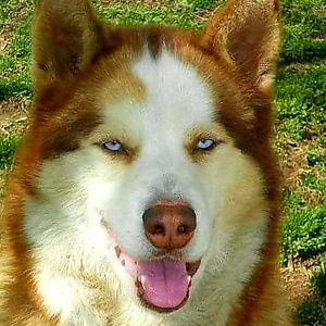 Meet your Posher, Laury